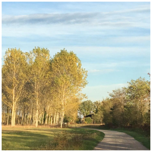 Saint Philbert du Peuple Bienvenue sur le site officiel de la Commune