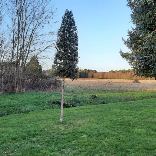 Saint Philbert du Peuple Bienvenue sur le site officiel de la Commune